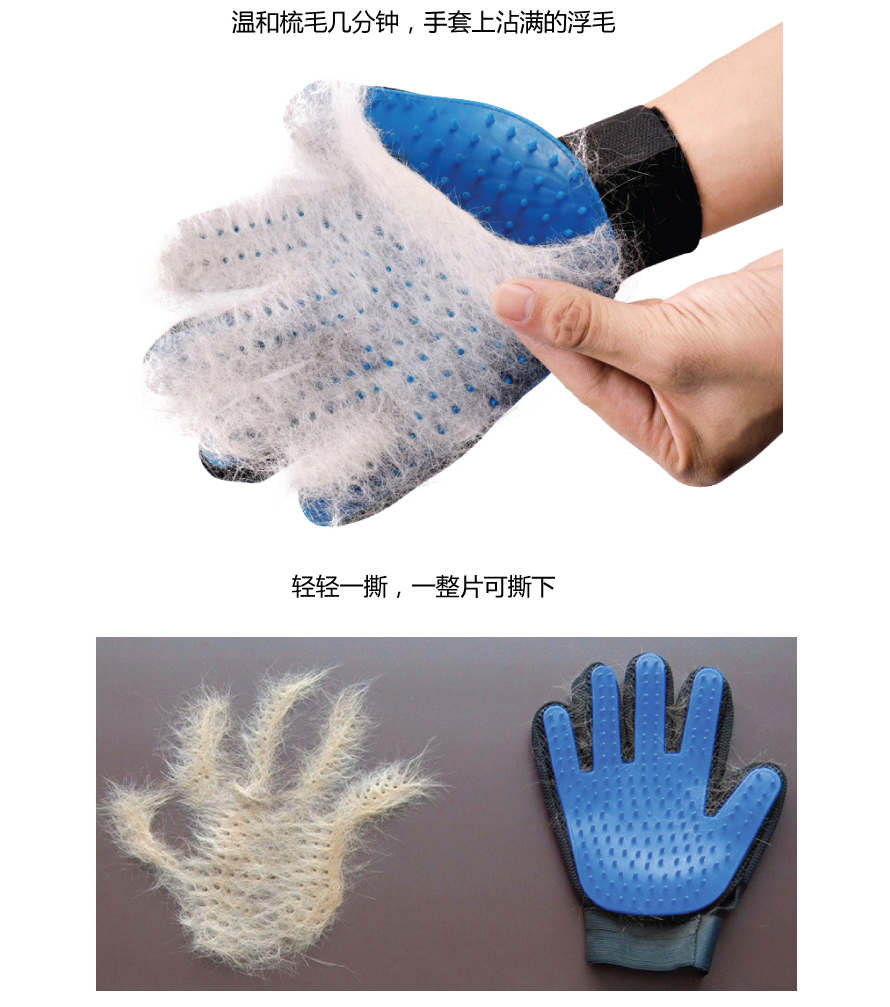 寵物用品 寵物用品