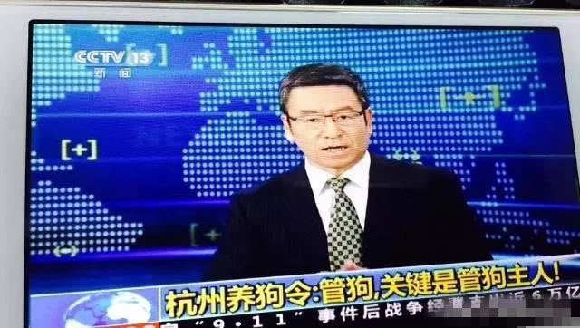 寵物牽引繩 寵物牽引繩
