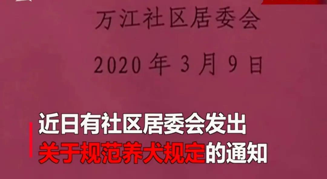寵物牽引繩 寵物牽引繩