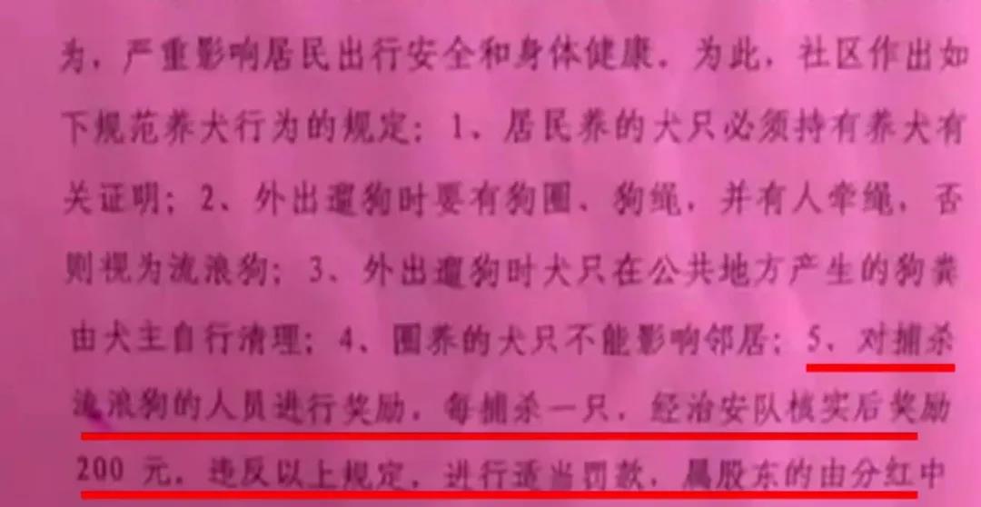 寵物牽引繩 寵物牽引繩